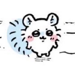 쵸 kitty_a1a
