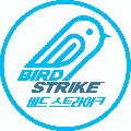 Bird strike